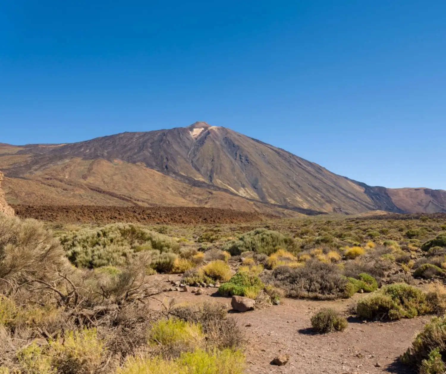 Exploring Tenerife with Family